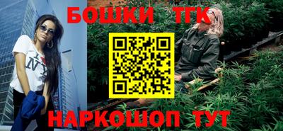 крисы Камышлов