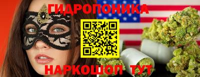спиды Кандалакша