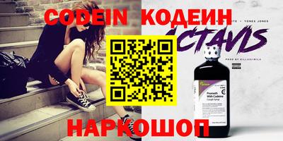 крисы Камышлов