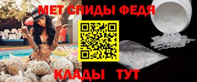 крисы Камышлов