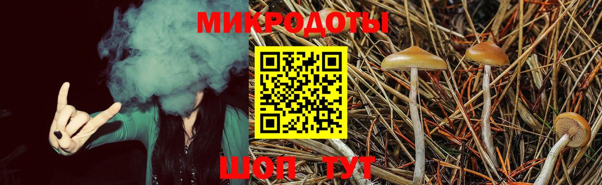 Оренбург  Галлюциногенные грибы прущие грибы  Вход с VPN  Псилоцибиновые грибы мухоморы 